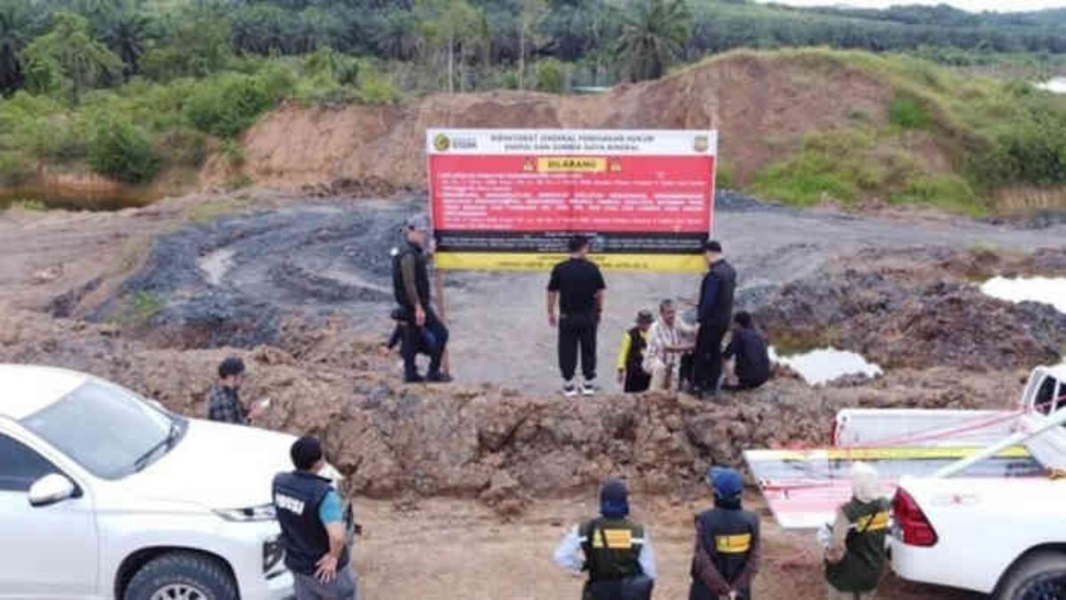 Negara Amankan 50 Ribu Ton Batu Bara Misterius di Kaltim