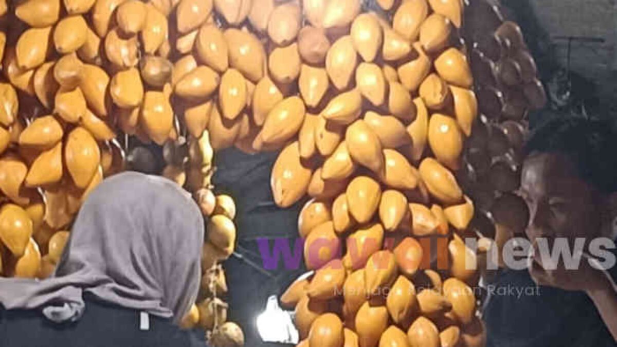 Buah Alkesa: Si Manis Lembut dari Pekarangan, Kaya Manfaat dan Gampang Ditanam