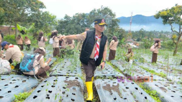 GAUL Pramuka Jabar Tanam 50 Ribu Pohon, Hijaukan 100 Hektare Hulu Citarum