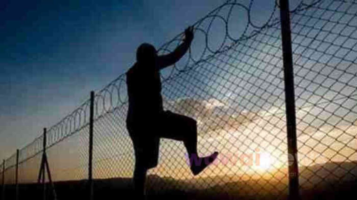 Napi Kasus Motor Kabur dari Rutan Sukadana, Petugas Masih Memburu