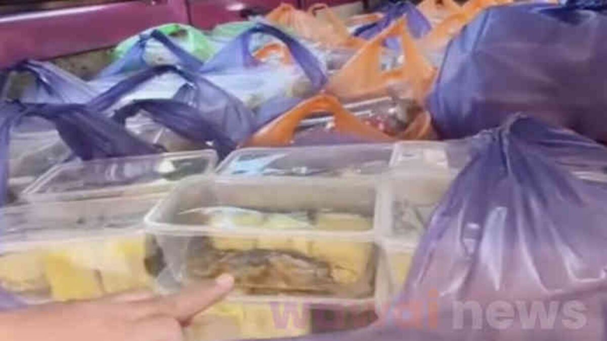 Viral! Ikan Lele Mentah Diduga Dibagikan ke Siswa, BGN Buka Suara