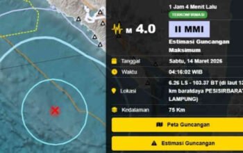 Gempa 4 Magnitudo Guncang Pesisir Barat Lampung, BMKG Pastikan Tak Berpotensi Tsunami