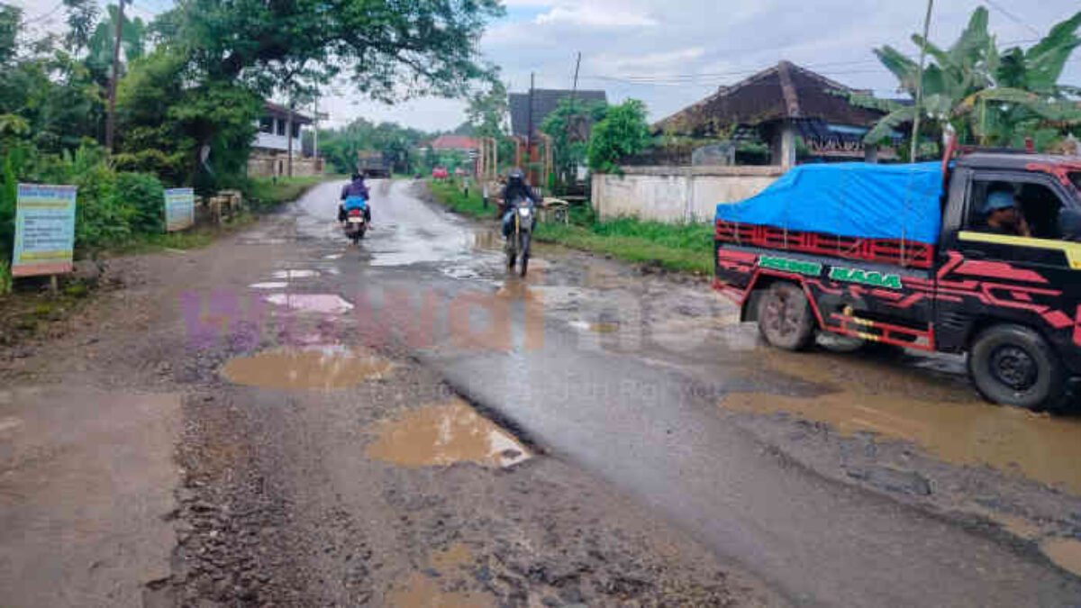 Jalan Provinsi atau Arena Offroad? Lubang 20 Cm di Sekampung Udik Lampung Timur Intai Pemudik Lebaran