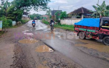 Jalan Provinsi atau Arena Offroad? Lubang 20 Cm di Sekampung Udik Lampung Timur Intai Pemudik Lebaran