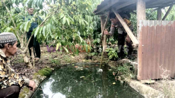 Balita 3 Tahun di Tanggamus Tewas Tenggelam, Ditemukan Mengambang Saat Orang Tua Bekerja