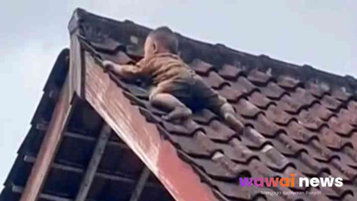 “Viral Balita ‘Panjat Level Dewa’ di Atap Rumah Lombok: 1 Jam di Ujung Genteng, Evakuasi Bikin Deg-degan!”