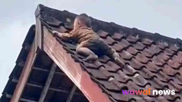 “Viral Balita ‘Panjat Level Dewa’ di Atap Rumah Lombok: 1 Jam di Ujung Genteng, Evakuasi Bikin Deg-degan!”