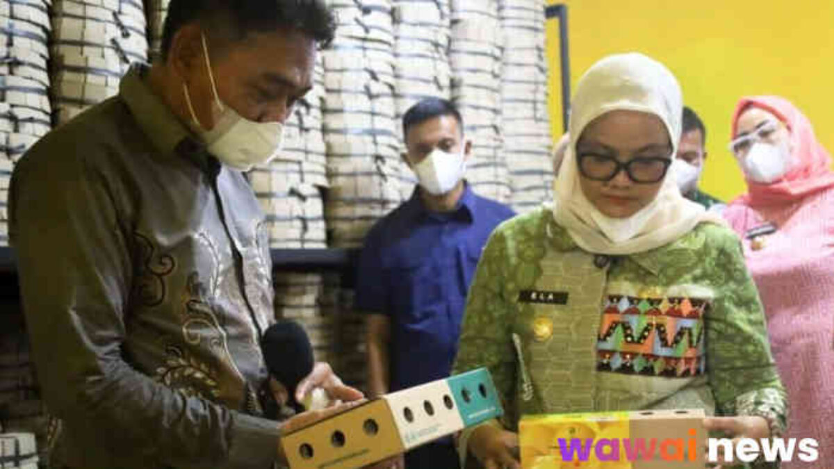 Bupati Lampung Timur Dorong Peternakan Herbal: Telur Sehat Rendah Kolesterol Jadi Andalan Baru