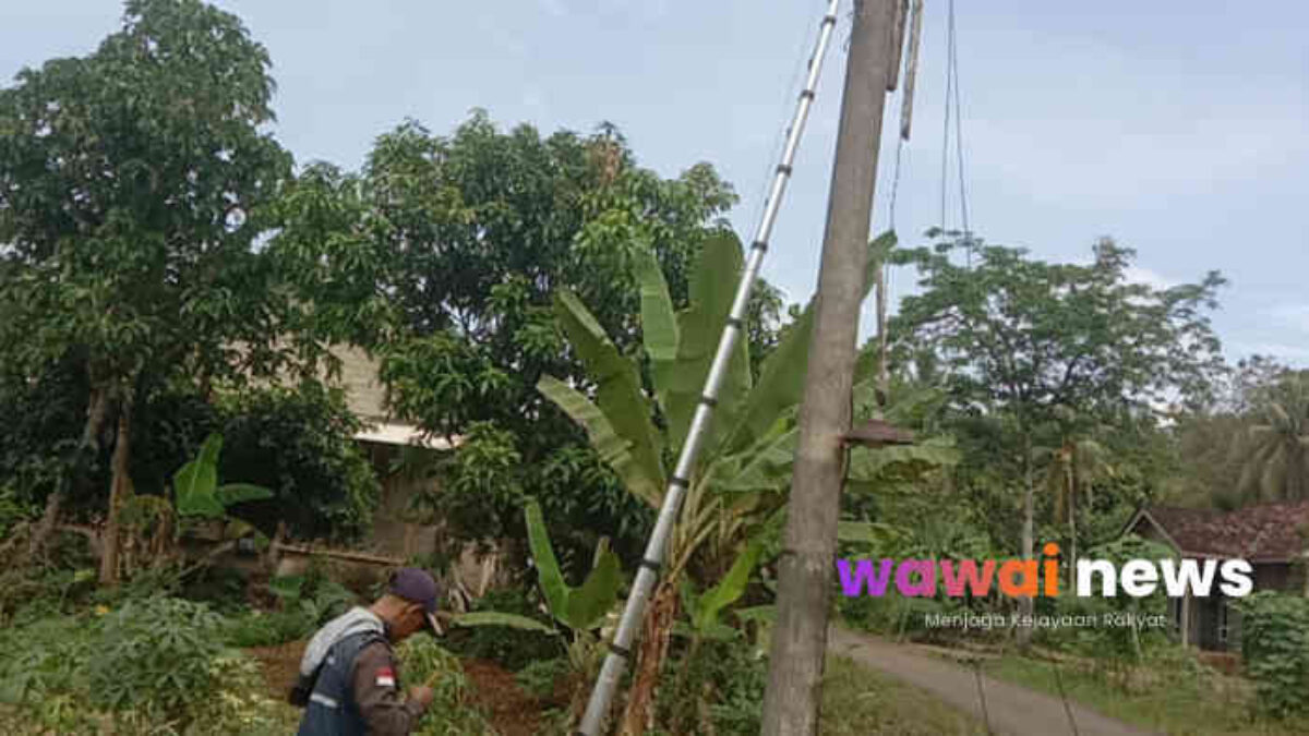 Skandal Kabel WiFi Numpang Tiang PLN di Lampung Timur, Diduga Ilegal dan Bikin Warga Waswas