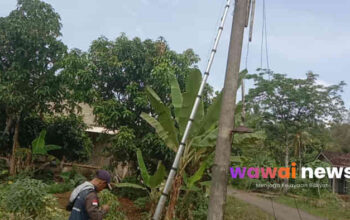Skandal Kabel WiFi Numpang Tiang PLN di Lampung Timur, Diduga Ilegal dan Bikin Warga Waswas