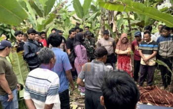 Kakek 74 Tahun Ditemukan Tak Bernyawa Gegerkan Warga Pekon Tekad