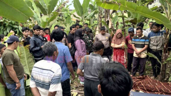 Kakek 74 Tahun Ditemukan Tak Bernyawa Gegerkan Warga Pekon Tekad