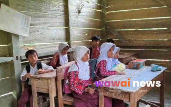 SDN 1 Tanjung Raja “Ditinggalkan” Sejak 2007, Bangunan Nyaris Ambruk Tanpa Sentuhan Bantuan