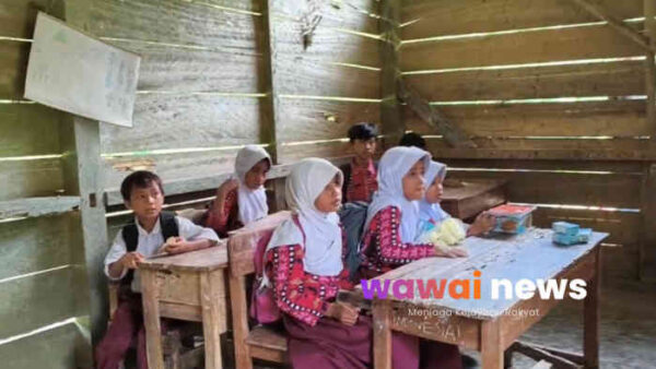 SDN 1 Tanjung Raja “Ditinggalkan” Sejak 2007, Bangunan Nyaris Ambruk Tanpa Sentuhan Bantuan