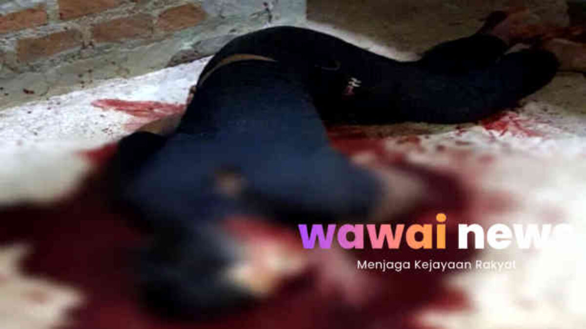 Terungkap! Tragedi Berdarah di Selagai Lingga Dipicu Konflik Keluarga, Pelaku Serahkan Diri