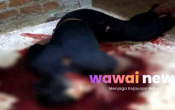 Terungkap! Tragedi Berdarah di Selagai Lingga Dipicu Konflik Keluarga, Pelaku Serahkan Diri