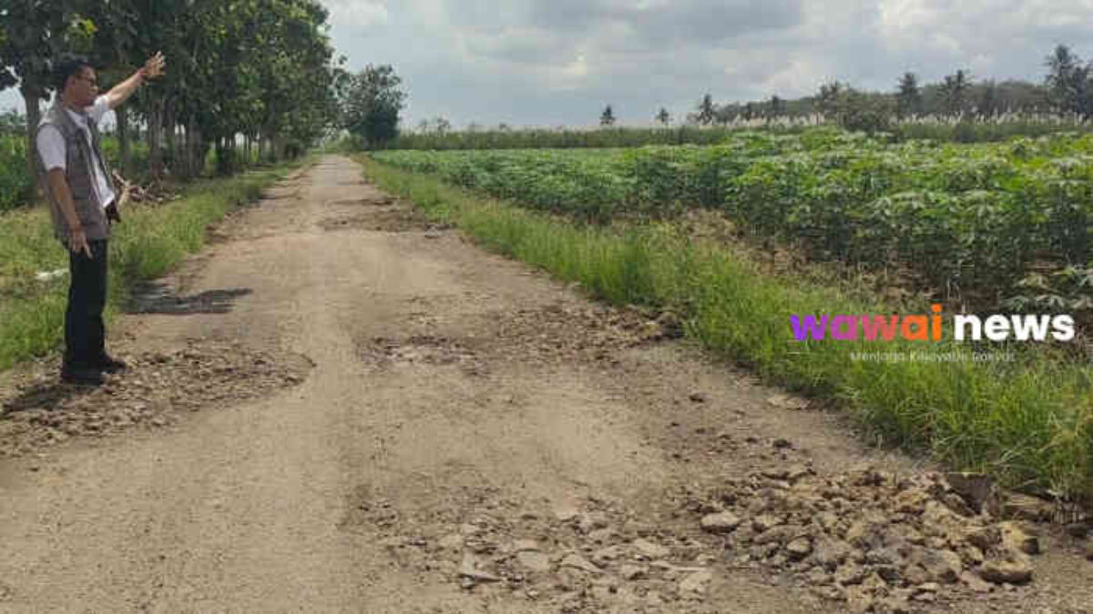 Jalan Poros Lampung Timur Bak “Kolam Ikan Raksasa”: 6 Km Lubang, Pejabat Lewat Tapi Tak Terlihat?