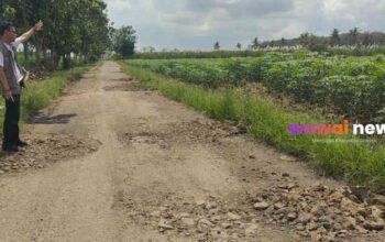 Jalan Poros Lampung Timur Bak “Kolam Ikan Raksasa”: 6 Km Lubang, Pejabat Lewat Tapi Tak Terlihat?