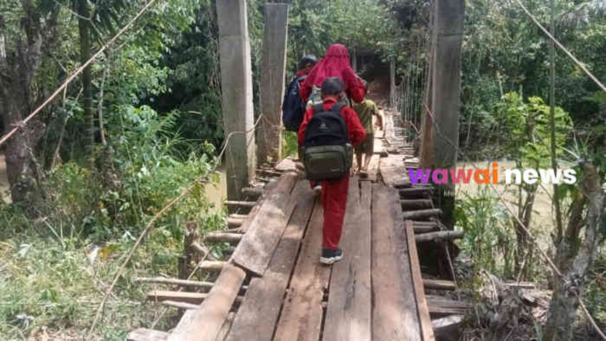 Meniti Harapan di Atas Kayu Rapuh: Potret Jembatan Gantung di Kabupaten Tanggamus