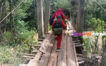 Meniti Harapan di Atas Kayu Rapuh: Potret Jembatan Gantung di Kabupaten Tanggamus