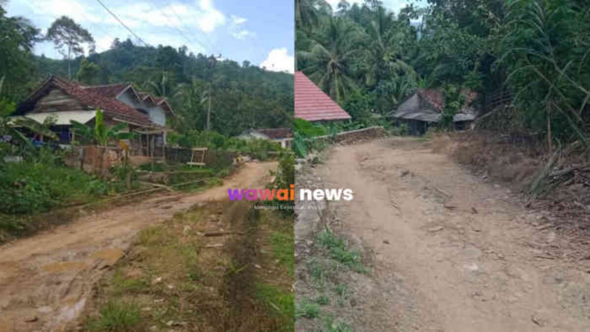 Jalan Rusak Puluhan Tahun di Pringsewu: Anak Sekolah Bertaruh Nyawa, Pemerintah Masih Sibuk Hitung Janji