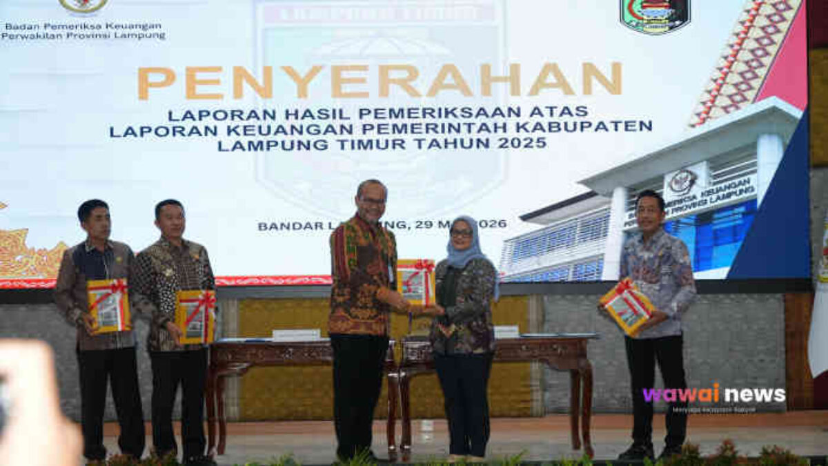 Lampung Timur Kembali Raih Opini WTP BPK 2026, Bukti Tata Kelola Keuangan Makin Transparan dan Akuntabel