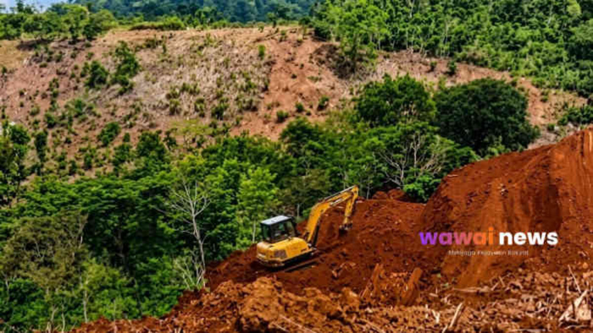 Hutan Lindung di Lampung Barat Terus Dibabat, Nama Elite DPRD Ikut Terseret