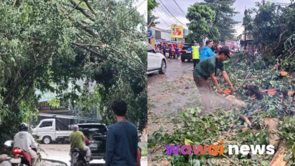 Hujan-Angin Acak-Acak Bekasi: Pohon Bertumbangan, Atap Rumah “Terbang”, Warga Gotong Royong di Tengah Cuaca Brutal