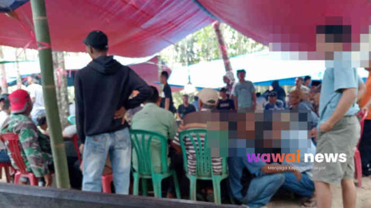 Arena Sabung Ayam Ramai Bak Pasar Minggu, Pengawasan di Purwodadi Lampung Selatan Dipertanyakan?