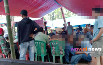 Arena Sabung Ayam Ramai Bak Pasar Minggu, Pengawasan di Purwodadi Lampung Selatan Dipertanyakan?