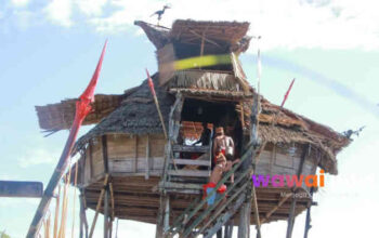 Baluk Sebujit Tak Sekadar Rumah Adat, Tapi Benteng Terakhir Identitas Dayak Bidayuh