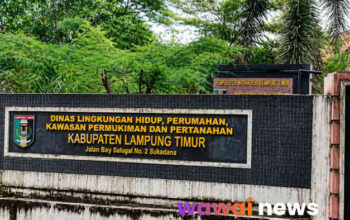 Kejaksaan Geledah Kantor DLH Lampung Timur, Dugaan Korupsi Proyek Jalan Rp24 Miliar Memanas