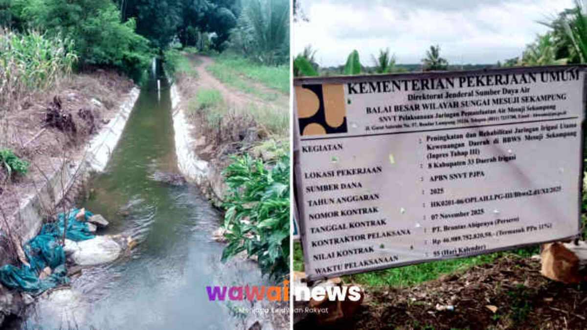 Proyek Irigasi Miliaran di Lampung Utara Diduga Mangkrak, Petani Kecewa Cuma Tambal Sulam