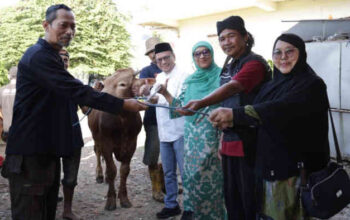 Semangat Iduladha Menggema di RSUD CAM Kota Bekasi: 9 Sapi dan 2 Kambing Dikurbankan, Ribuan Manfaat Dibagikan untuk Sesama