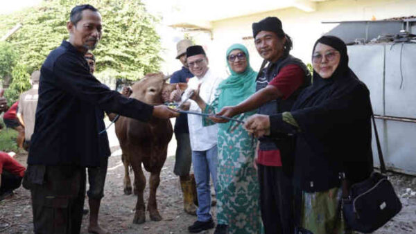 Semangat Iduladha Menggema di RSUD CAM Kota Bekasi: 9 Sapi dan 2 Kambing Dikurbankan, Ribuan Manfaat Dibagikan untuk Sesama
