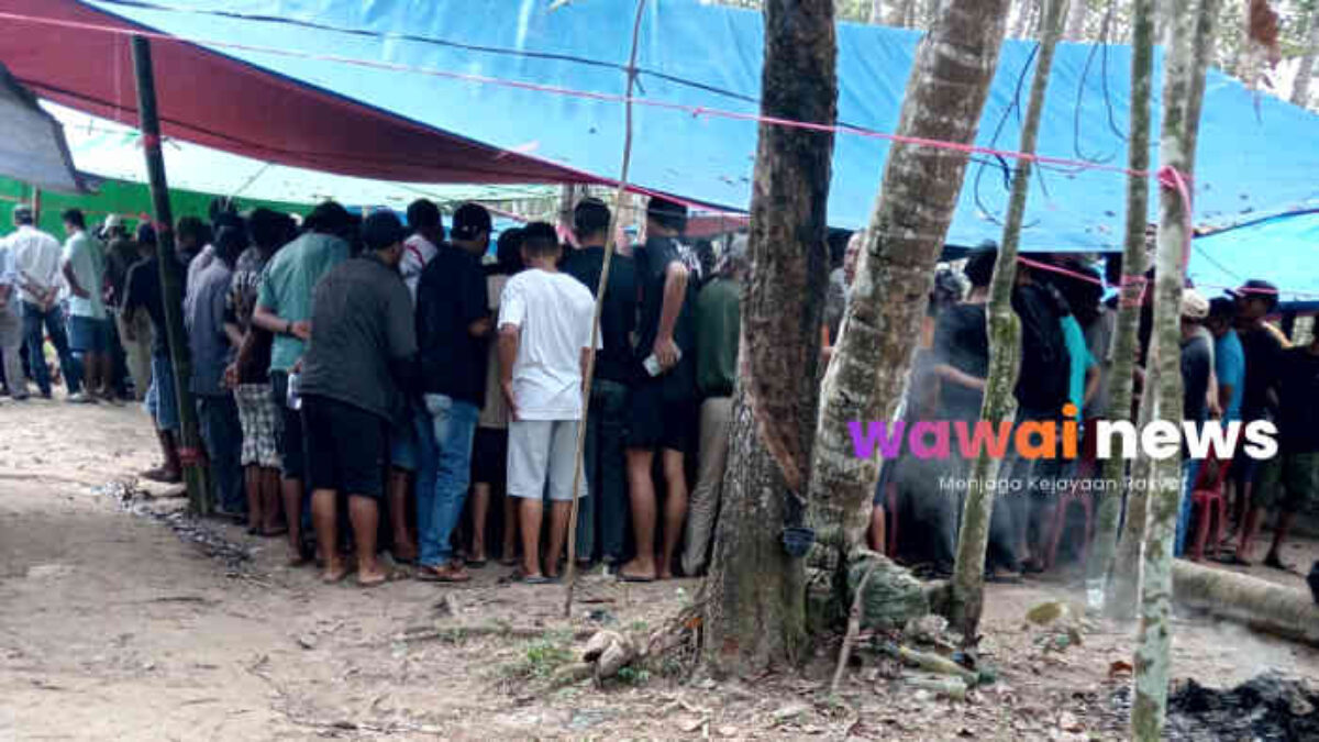 Purwodadi Darurat Judi? Sabung Ayam dan Dadu Koprok Ramai, Warga Sindir Aparat Jangan Sampai “Pura-Pura Buta”