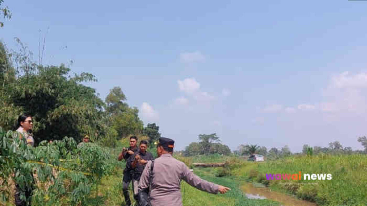 Saksi Jadi Tersangka! Polisi Bongkar Peran Kunci Remaja 17 Tahun dalam Kasus Pembunuhan di Lampung Timur