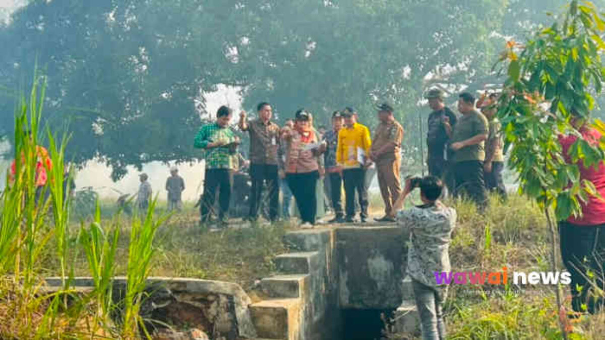 Irigasi Bocor, Panen Terancam! Bupati Ela Turun Gunung, Bendungan Way Kawat Siap Direhabilitasi Demi Petani Lampung Timur
