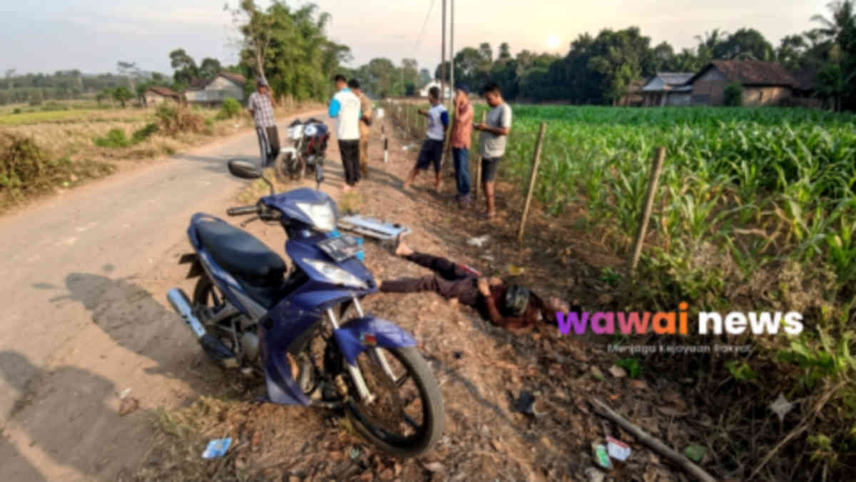 Diduga Diserang Jantung Saat Berkendara, Mustadi Tewas dalam Kecelakaan Tunggal di Abung Semuli