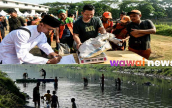 Heboh! 91 Ton Hasil Lomba Tangkap Ikan Sapu-sapu di BKT, Langsung Dikubur Demi Selamatkan Ekosistem