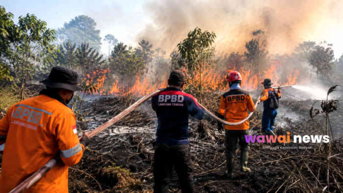 Hotspot Muncul di Lampung Tengah, BPBD Perketat Siaga Hadapi Puncak Kemarau 2026