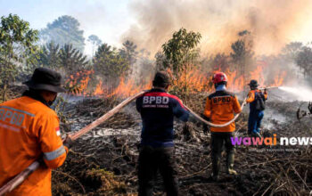 Hotspot Muncul di Lampung Tengah, BPBD Perketat Siaga Hadapi Puncak Kemarau 2026