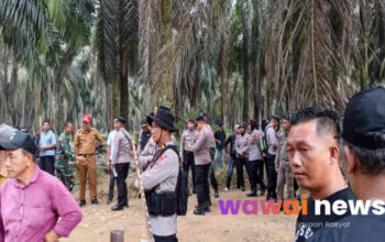 Ratusan Warga Bertahan di Kebun Sawit PTPN 7 Bekri, Tuntut Pengembalian Lahan di Luar HGU