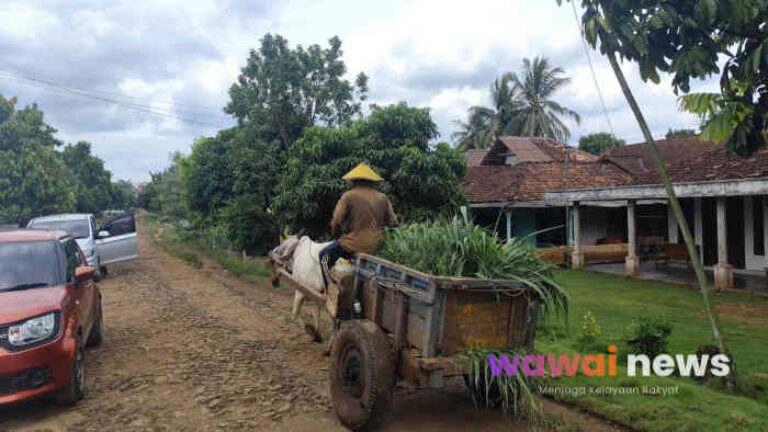 “Jabung Tak Meminta Dibela, Hanya Ingin Diperlakukan Adil”