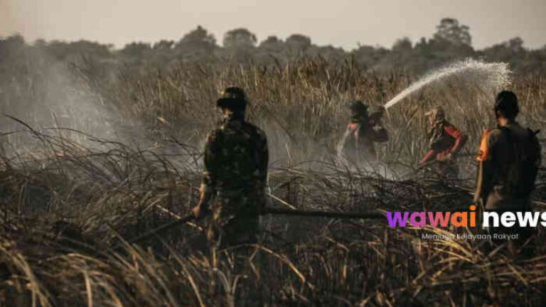 Way Kambas Kembali Terbakar! Tiga Titik Api Muncul, Pemadaman Masih Berlangsung