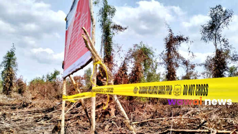 Kebakaran 454 Hektare di Konsesi PT Bintang Harapan Palma Disorot, KLH/BPLH Siapkan Langkah Hukum