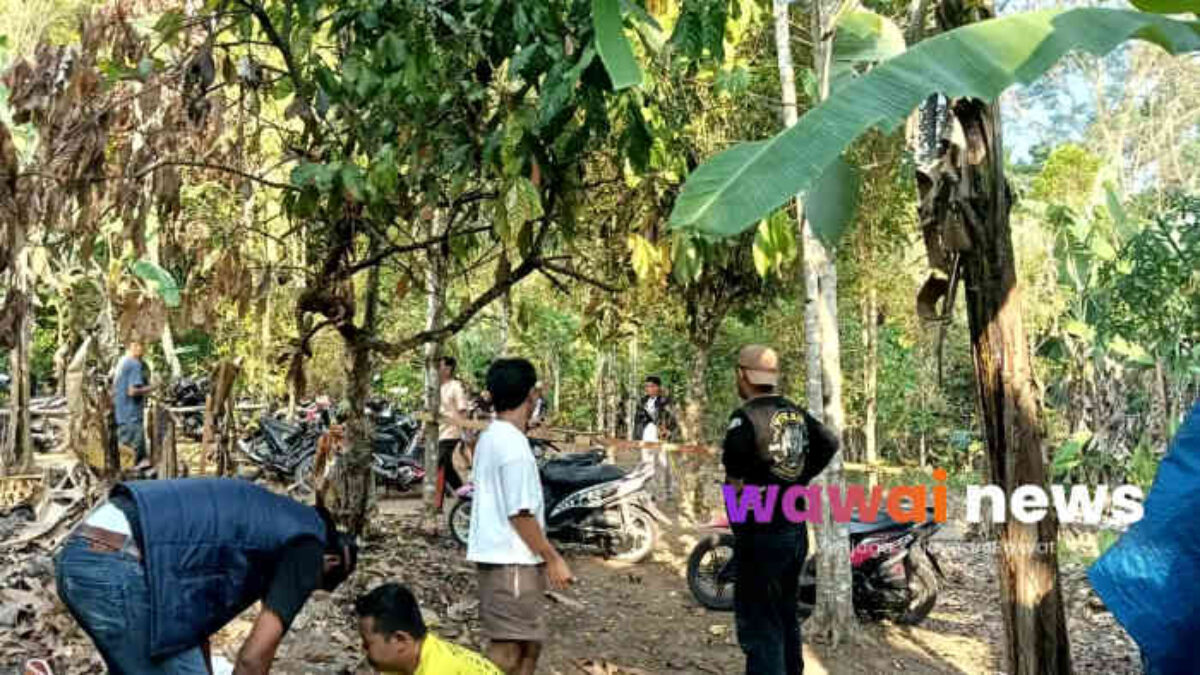 Sabung Ayam Digerebek Polisi di Kalianda! 6 Motor dan 5 Ayam Aduan Disita, Pemiliknya Bakal “Dibina” Bersihkan Masjid