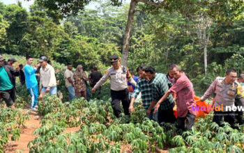 Misteri Pria Hilang di Lampung Utara Berakhir Tragis, Ditemukan Tak Bernyawa di Siring Kebun
