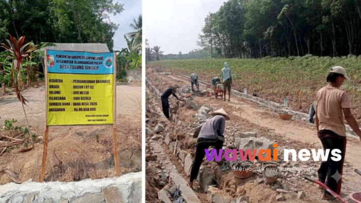 Upah Pembangunan Drainase di Tulung Singkip Diborong Rp12 Juta, Administrasi Disebut HOK
