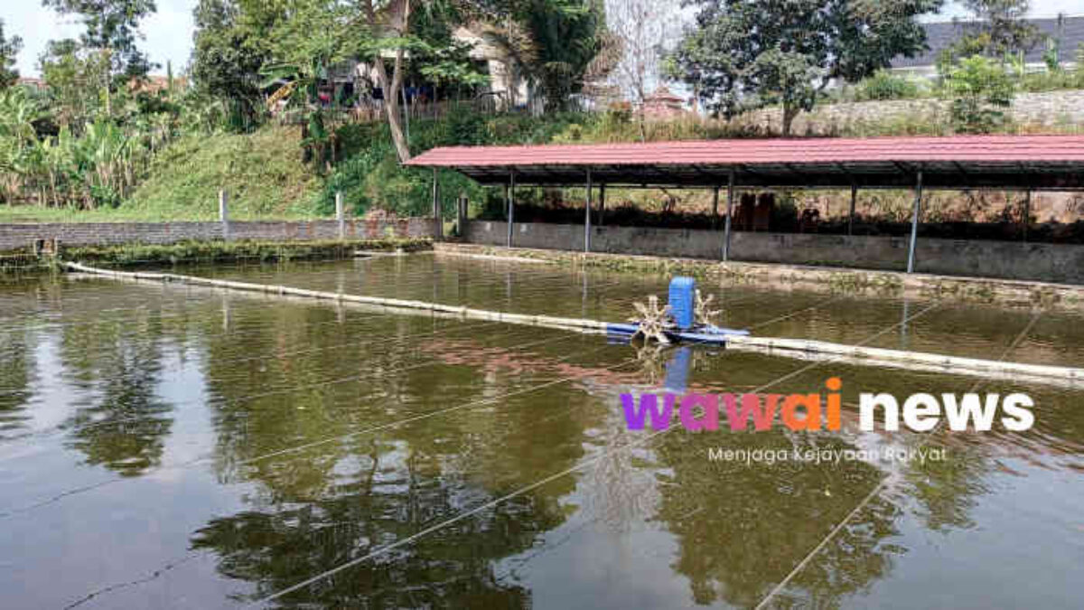 Hendak Perbaiki Kincir, Pria di Gisting Tewas Tersengat Listrik di Kolam Ikan
